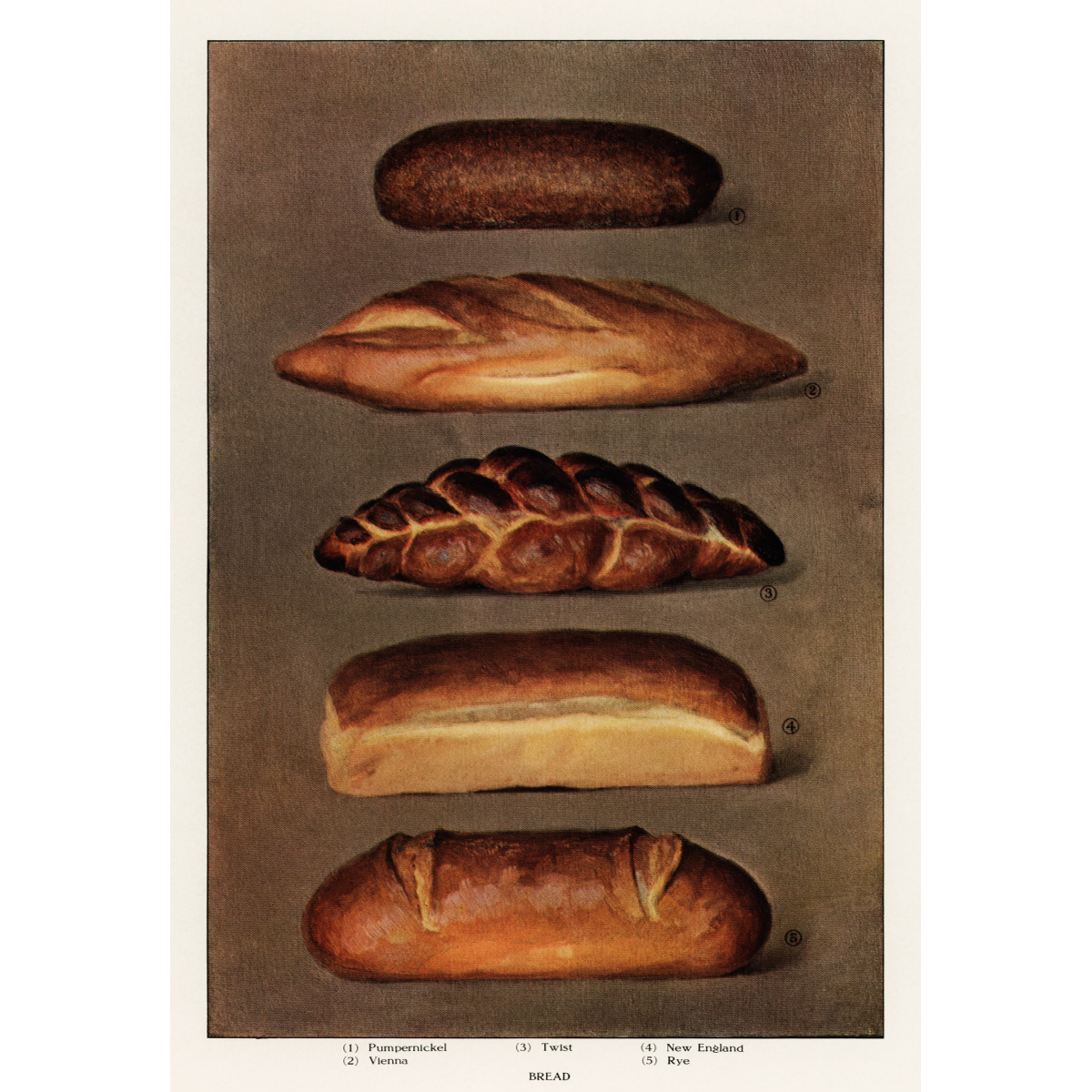 Daily Bread - Unframed Art Print