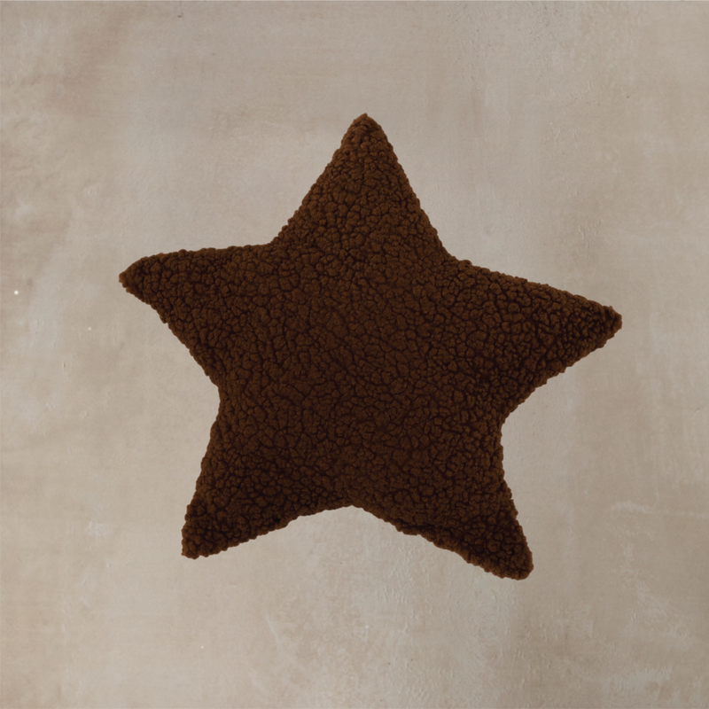 True North Star Sherpa Pillow