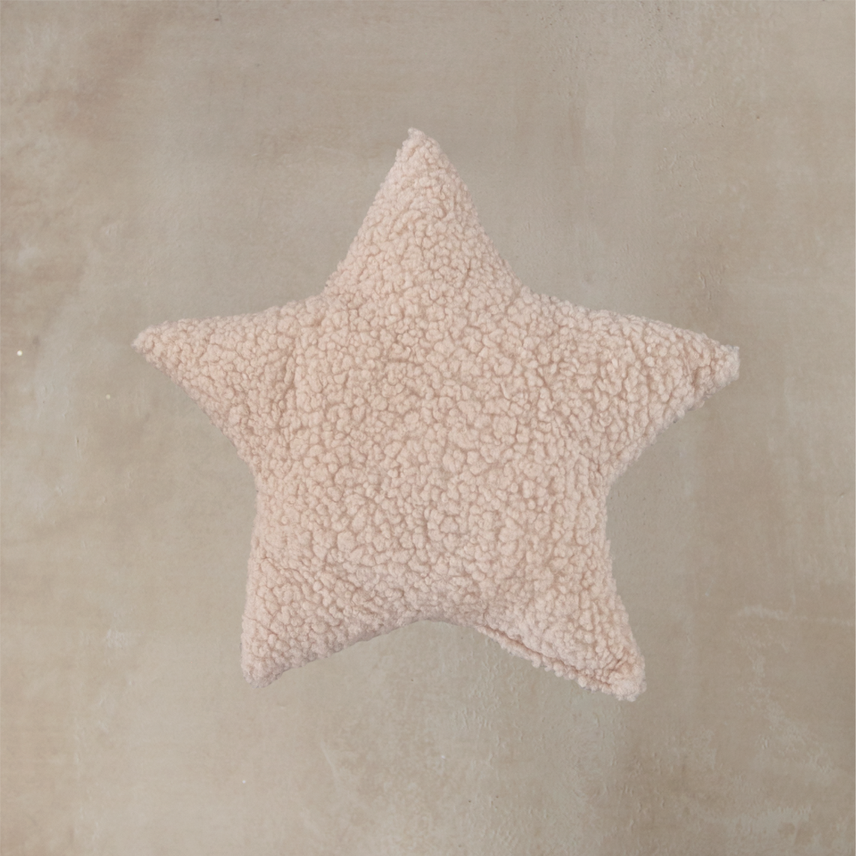 True North Star Sherpa Pillow