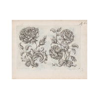 Vintage Rose - Unframed Art Print