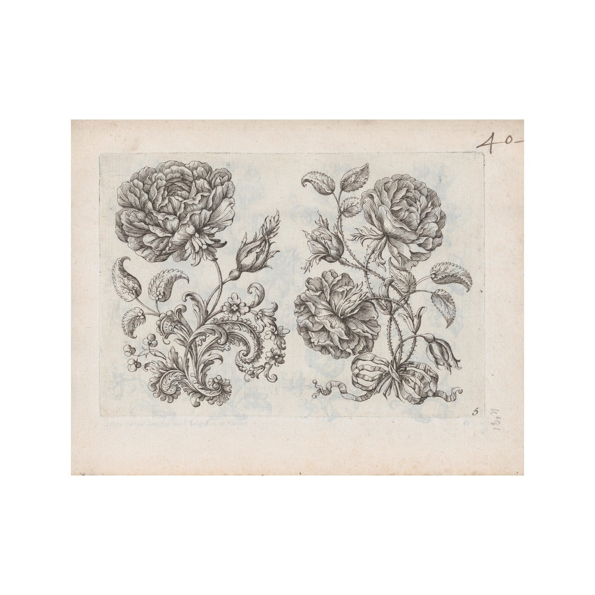victorian rose drawing