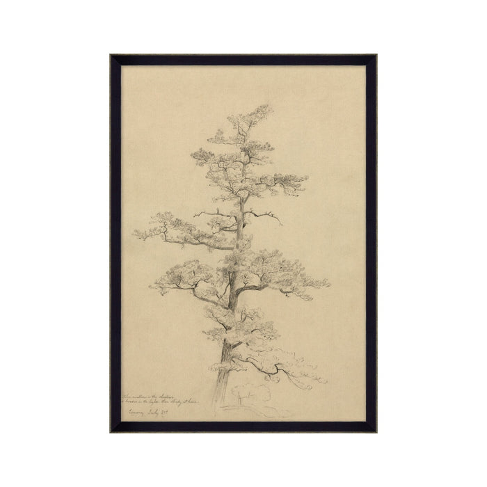 July Pine Tree Framed Artwork