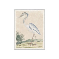The Grey Heron Framed Artwork