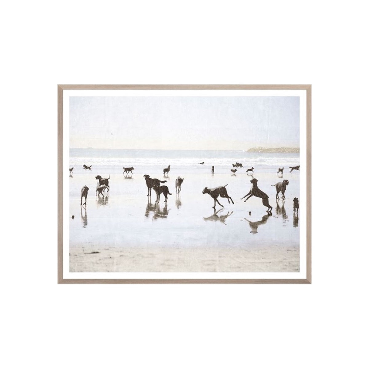 Seaside Dogs Framed Artwork