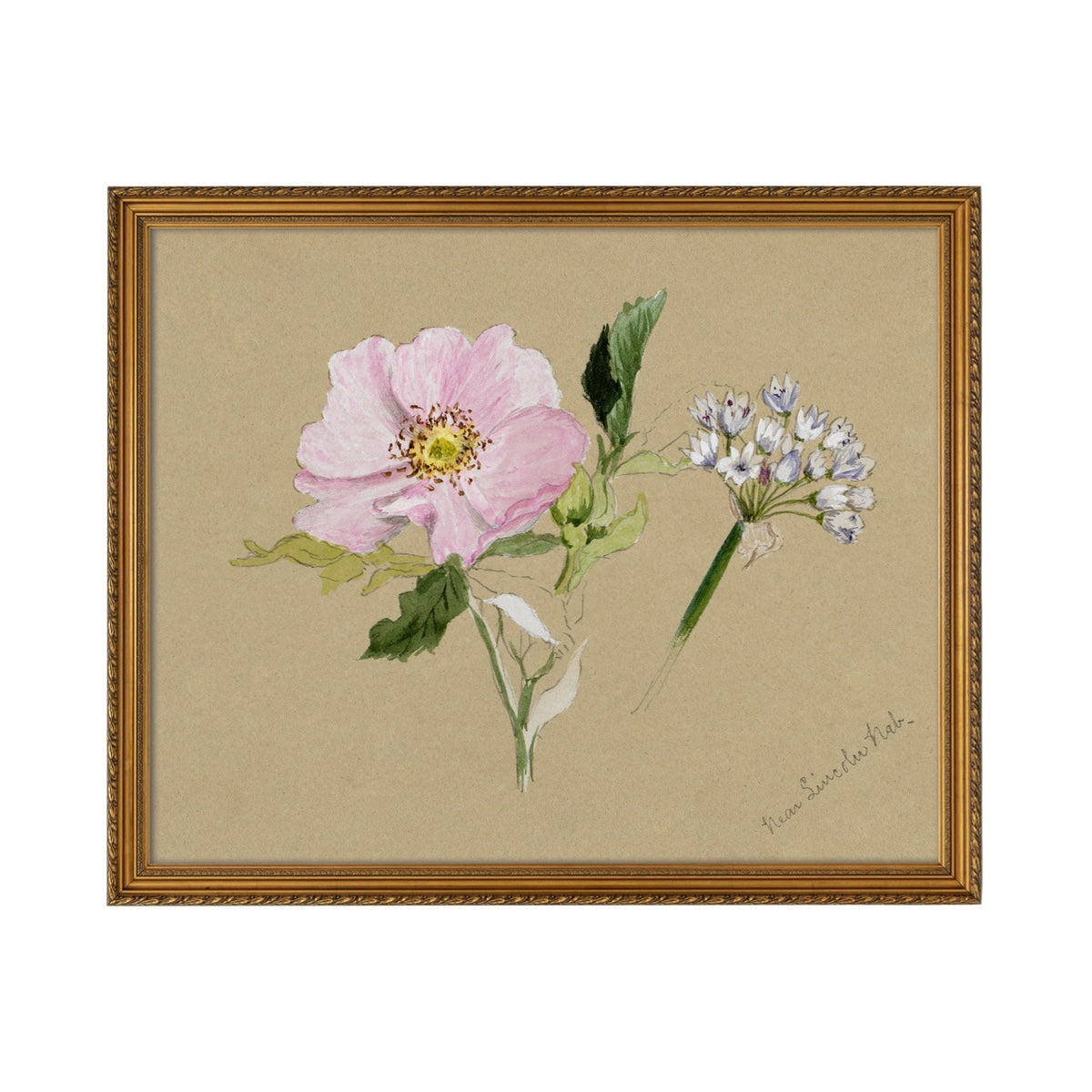 Floral Buds - Unframed Art Print