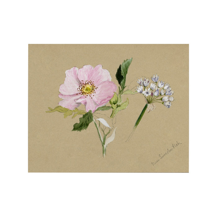 Floral Buds - Unframed Art Print