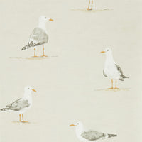 Shore Birds Wallpaper